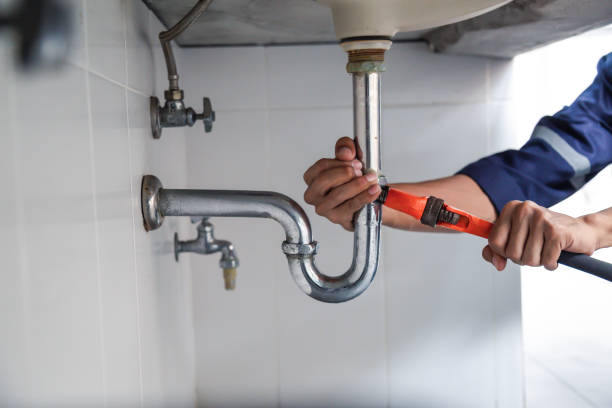 Best Drain Cleaning Services  in Mayville, ND