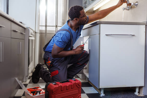 Best Toilet Repair Services  in Mayville, ND