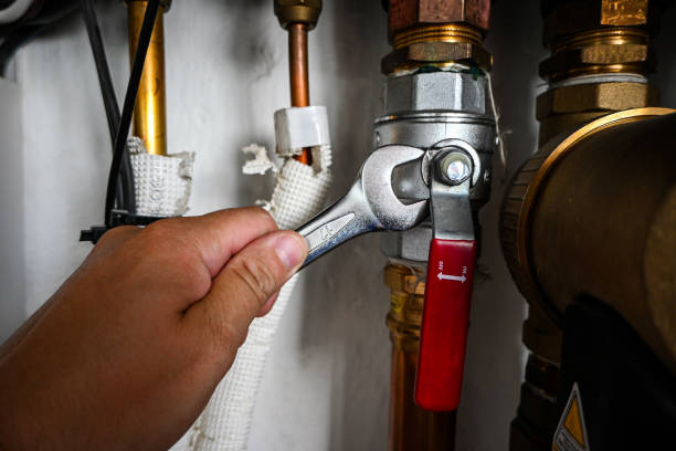 Best Leak Detection Services  in Mayville, ND